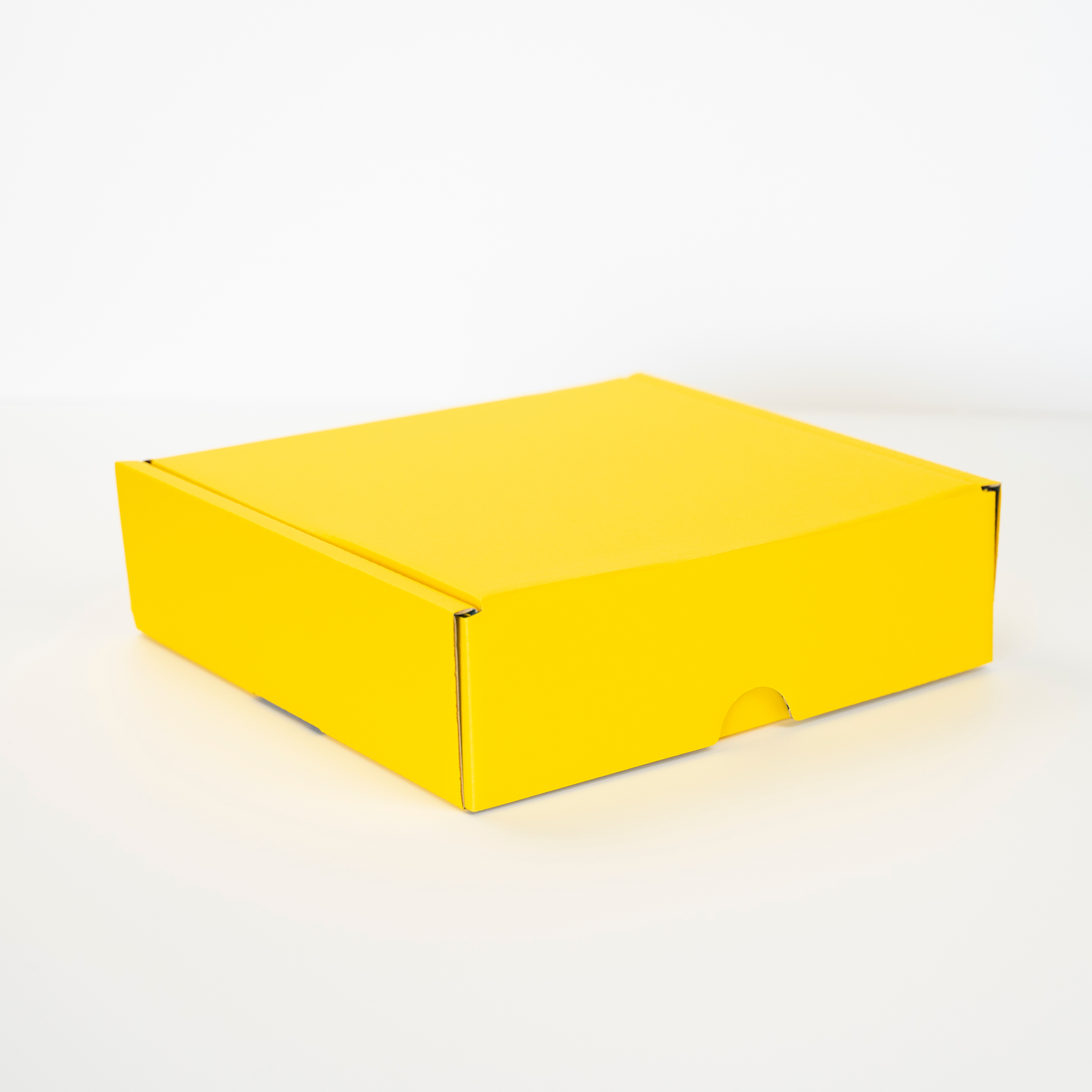 Kakusei IPA 8本セット